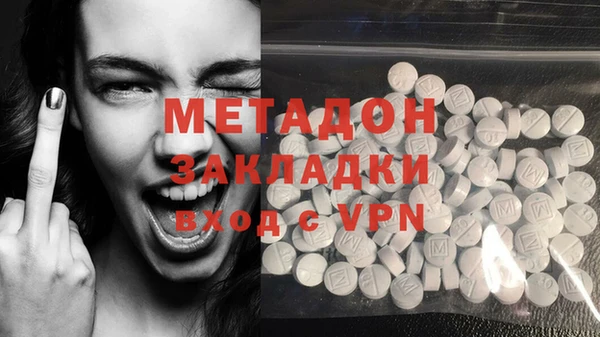 прущие грибы Бронницы