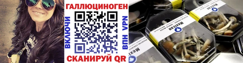 Галлюциногенные грибы Cubensis  Духовщина 